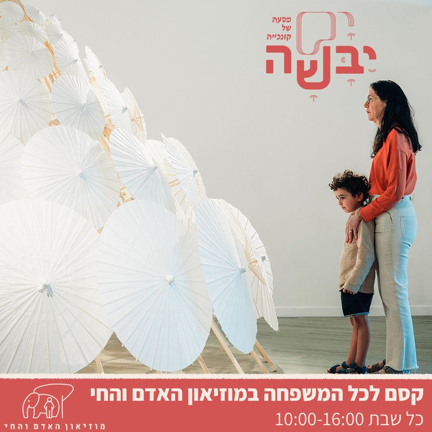 צילום מתוך העבודה 'קונכייה' אורי שיפרין ענבי, מתוך עמוד הפייסבוק של מוזיאון האדם והחי