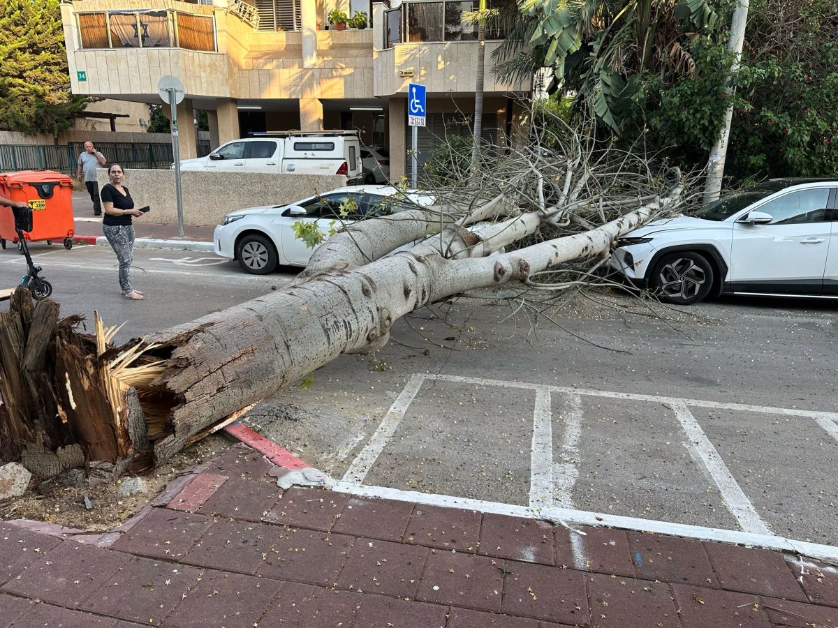 פרסום ברשתות חברתיות