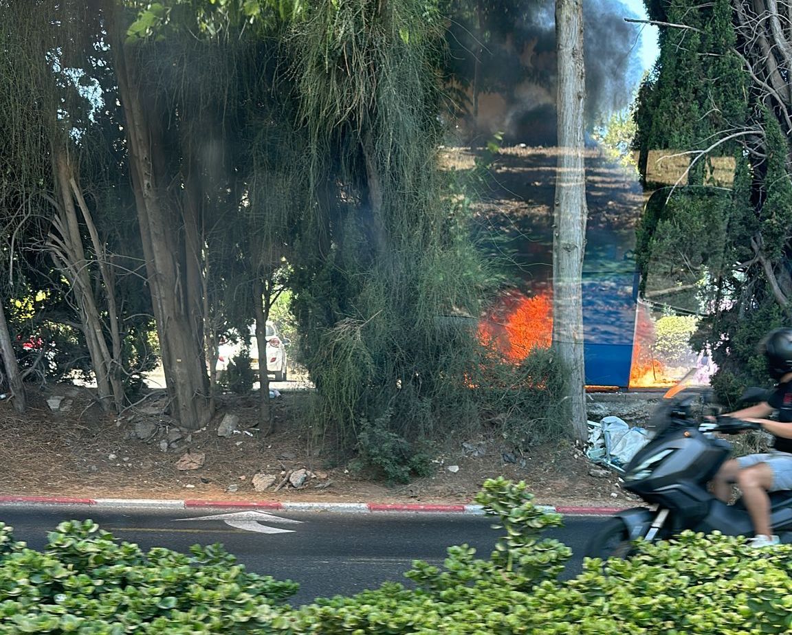 צילום: פרטי