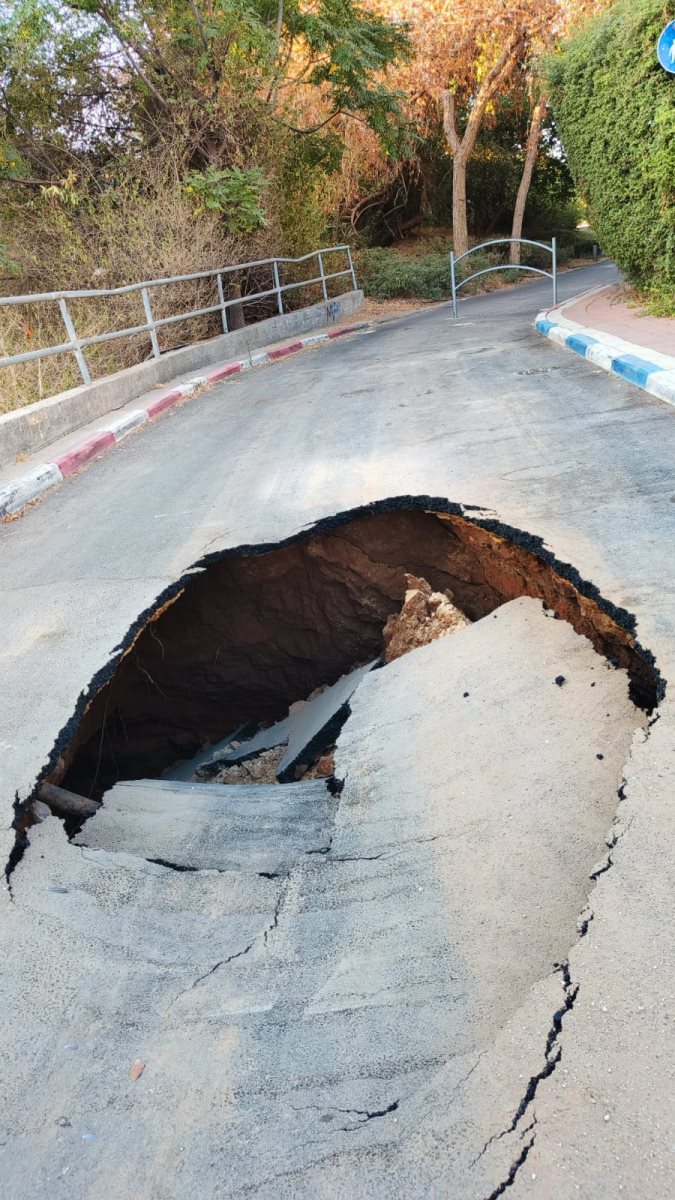 צילום: נתן שפירא