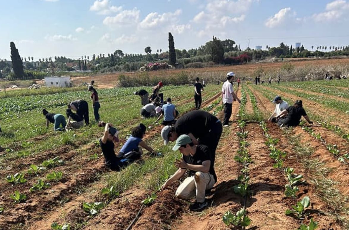 צילום מעמוד הפייסבוק של תיכון אורט אבין