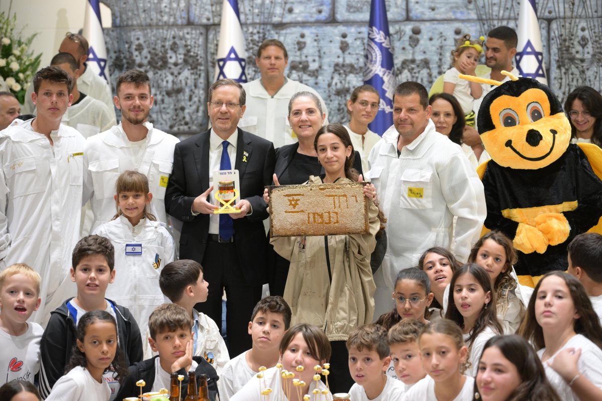 צילום: עמוס בן גרשום/לע״מ