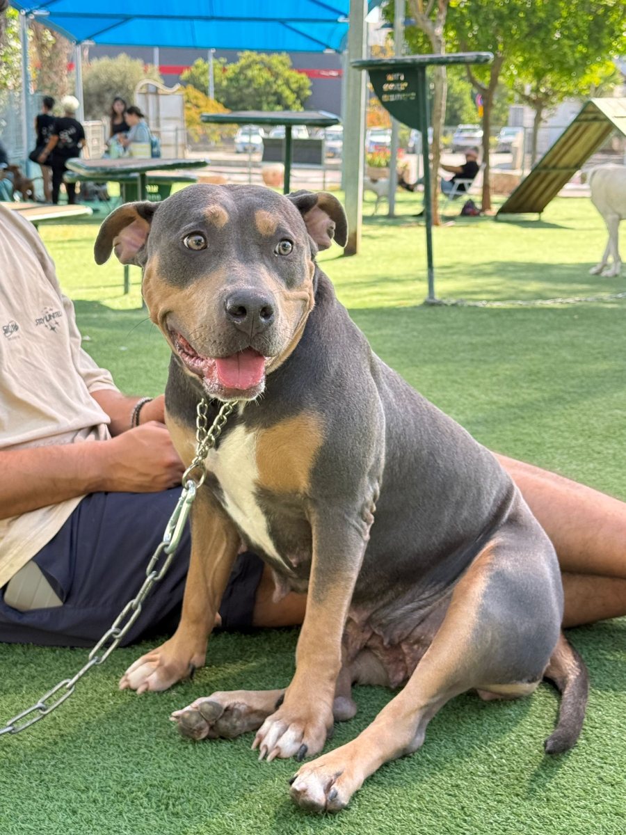 צילום: יח״צ