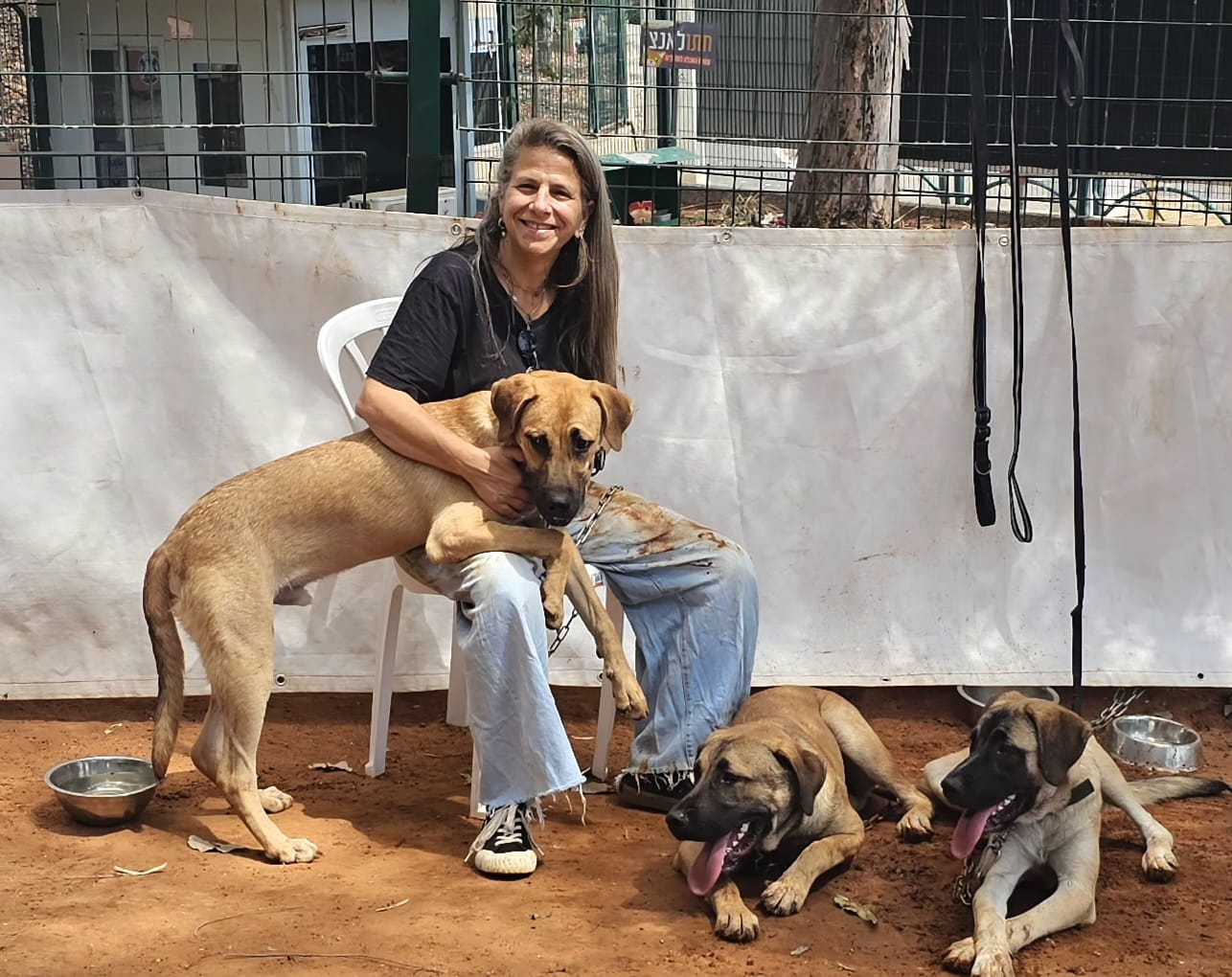 צילום: יח״צ