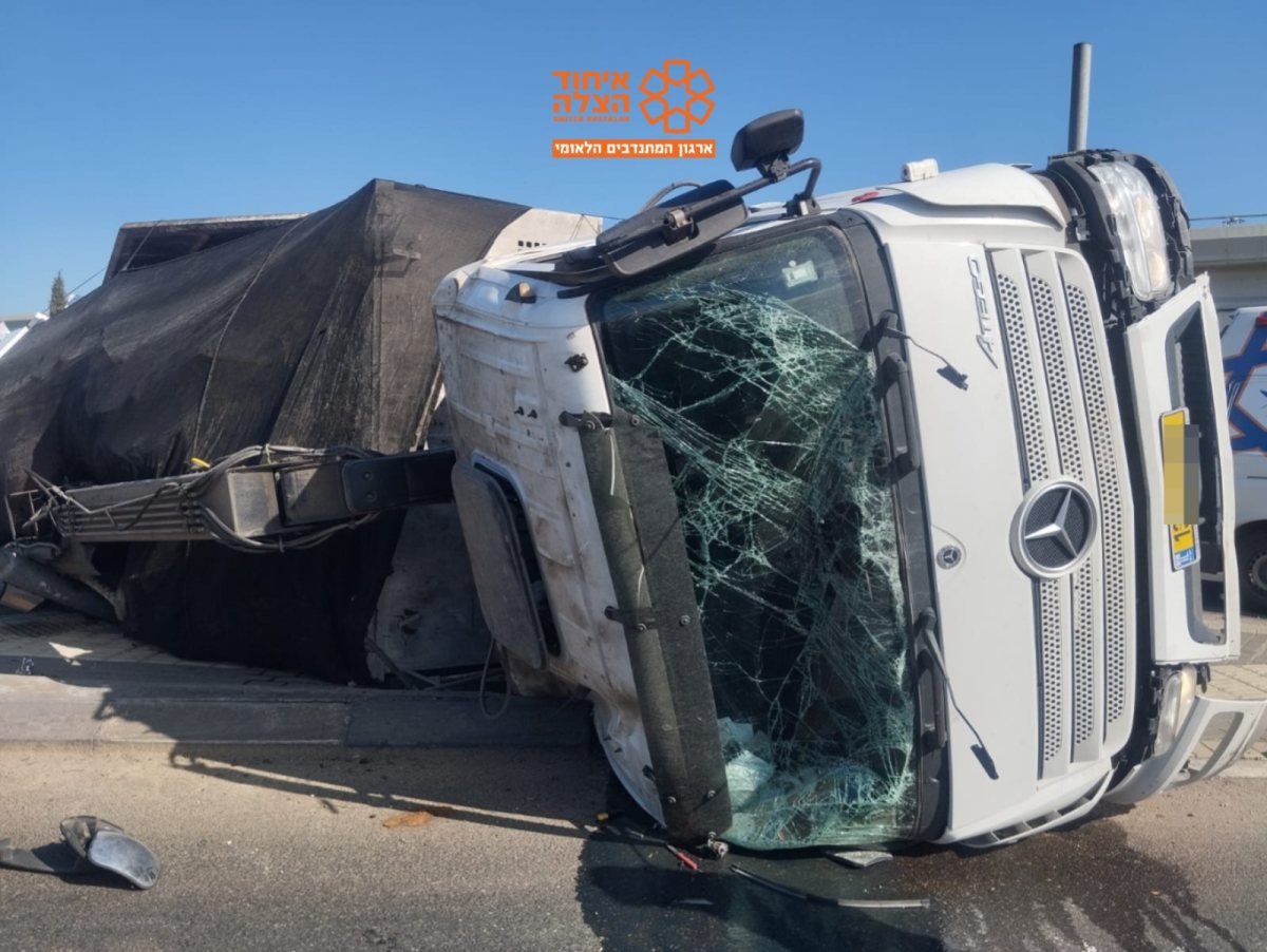 צילום: איחוד הצלה און ליין