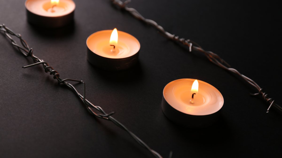 אילוסטרציה (canva)