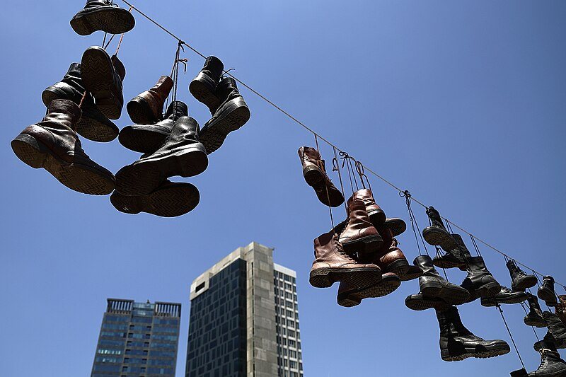 ליזי שאנן, מתוך אתר פיקיויקי