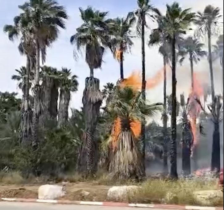 צילום: כבאות והצלה לישראל