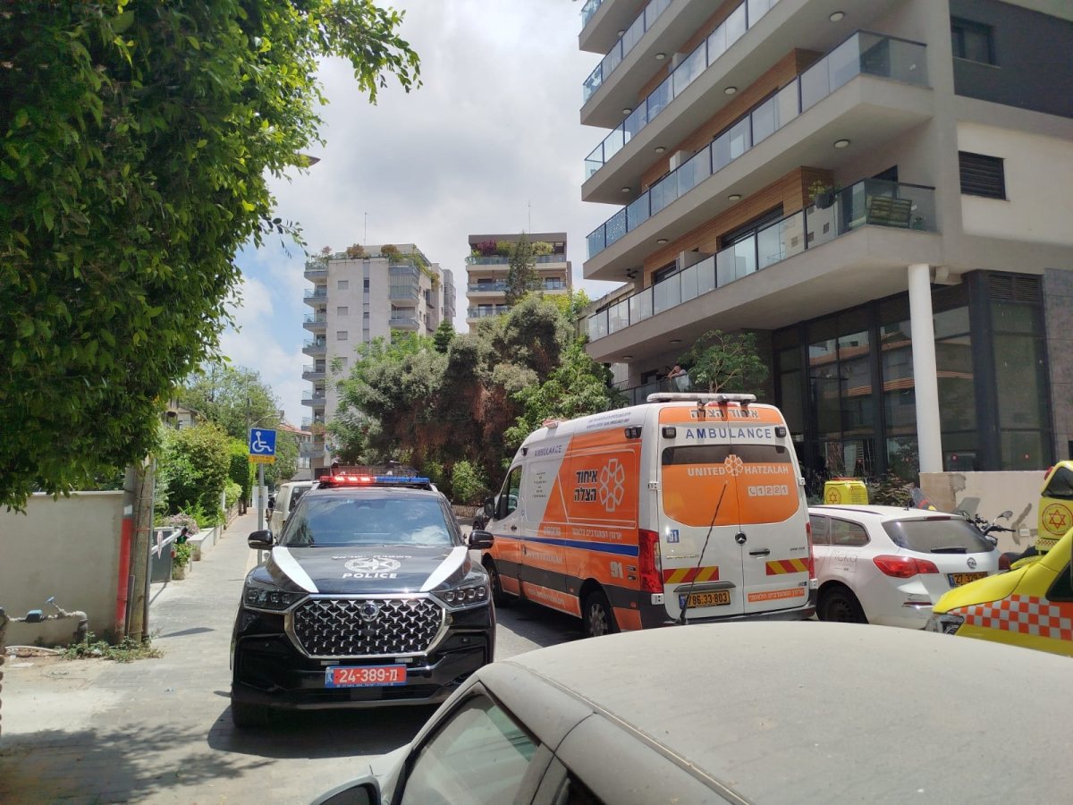 צילום: איחוד הצלה און ליין