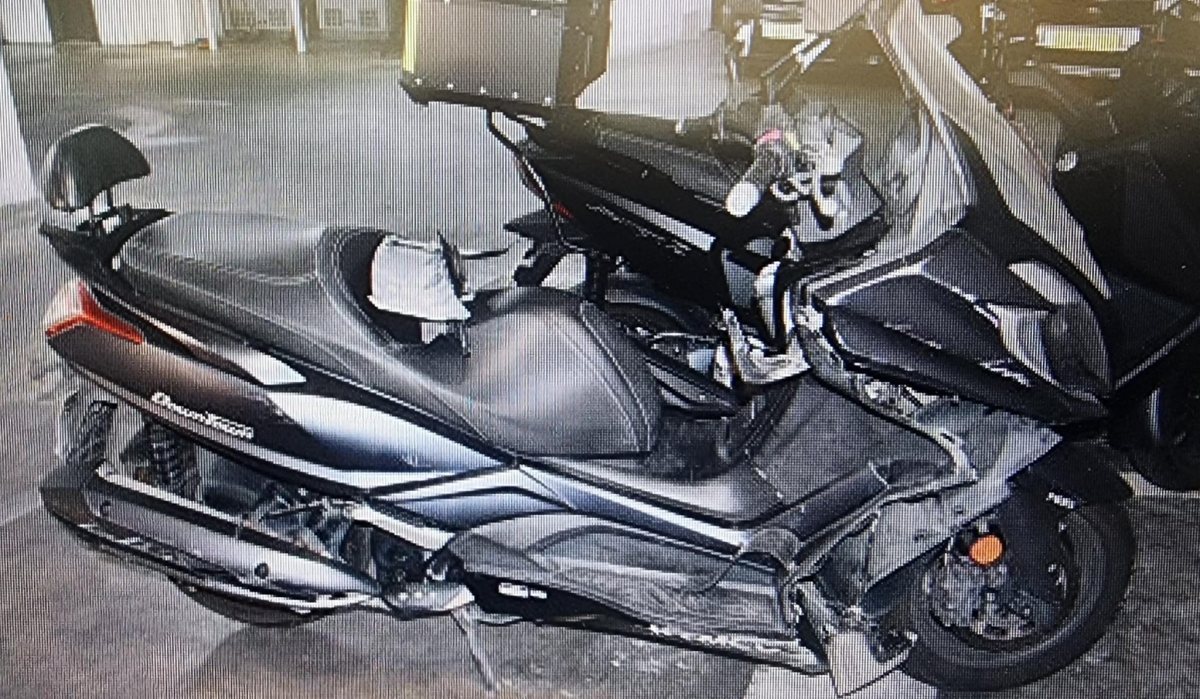 צילום: דוברות המשטרה