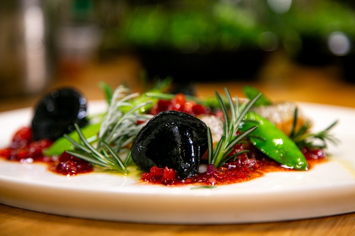 פילה לברק צרוב צילום עידן ביטון