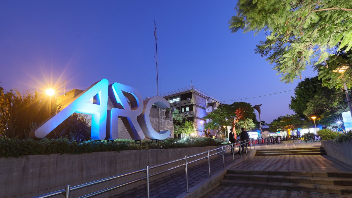 צילום: דוברות שיבא