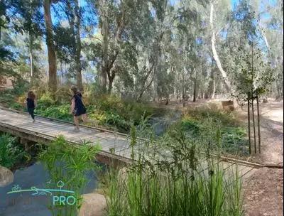 צילום מעמוד הפייסבוק של רועי ברזילי