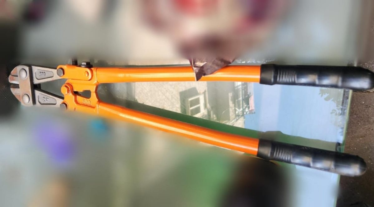 צילום: דוברות המשטרה