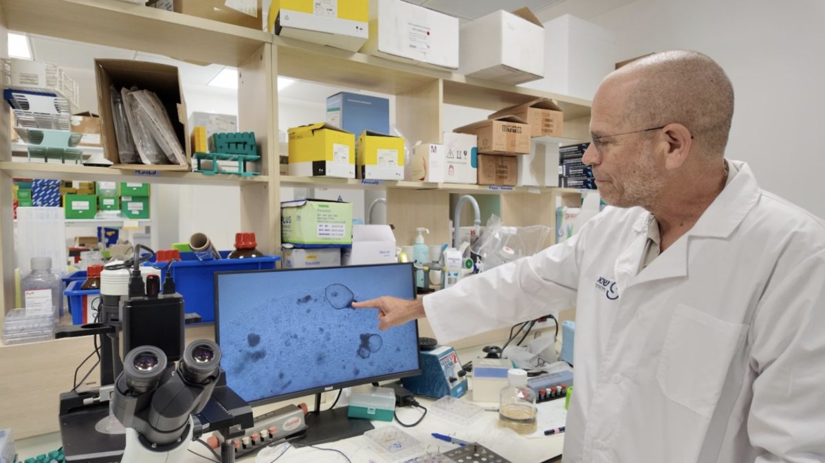 צילום: המרכז הרפואי שיבא