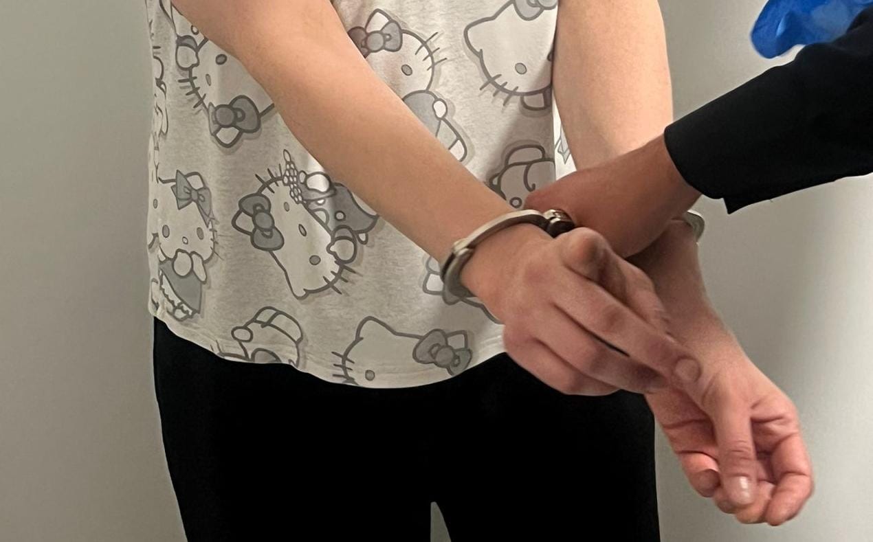 צילום: דוברות המשטרה