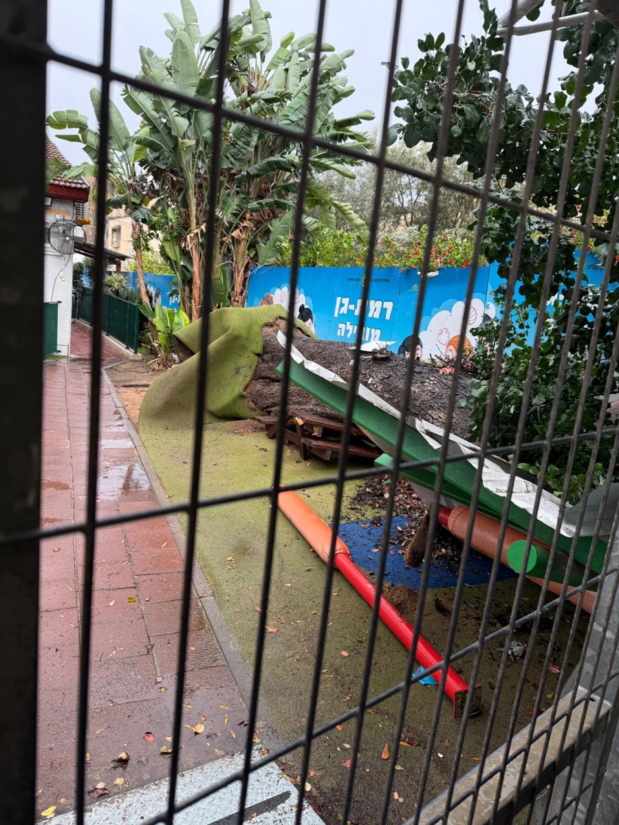 רשתות חברתיות 