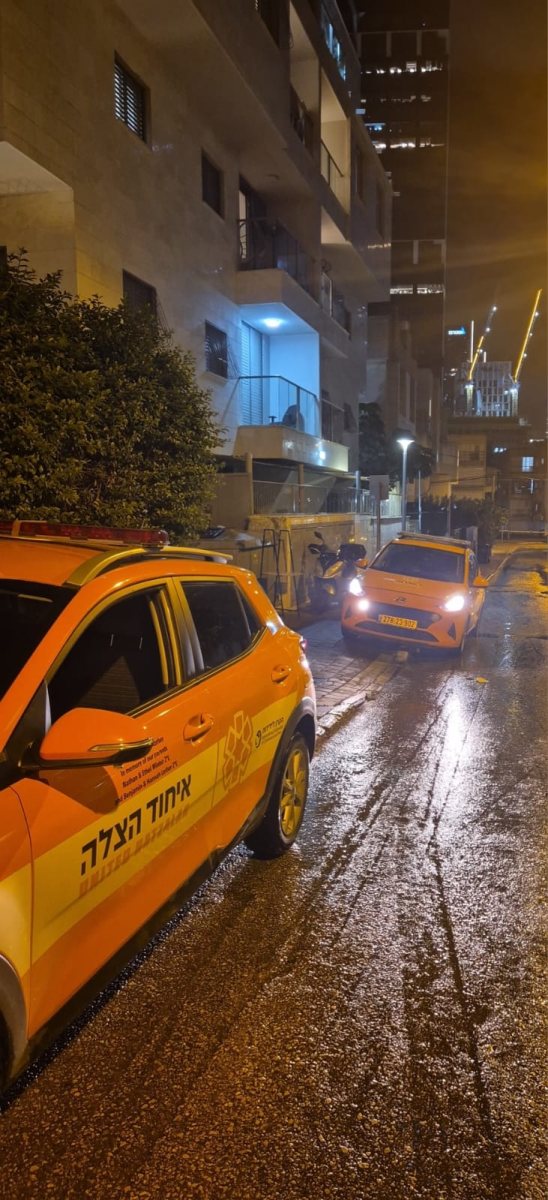 צילום: איחוד הצלה און ליין