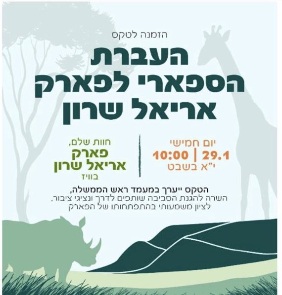 צילום: פרטי