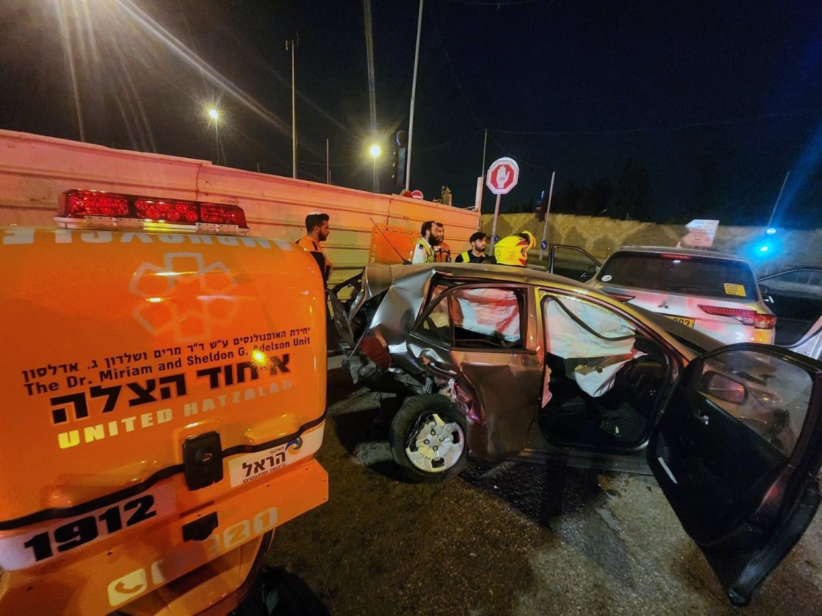 צילום: איחוד הצלה און ליין