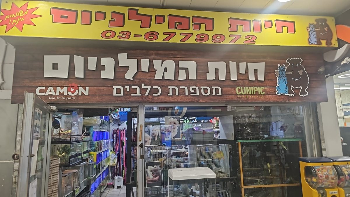 מערכת 