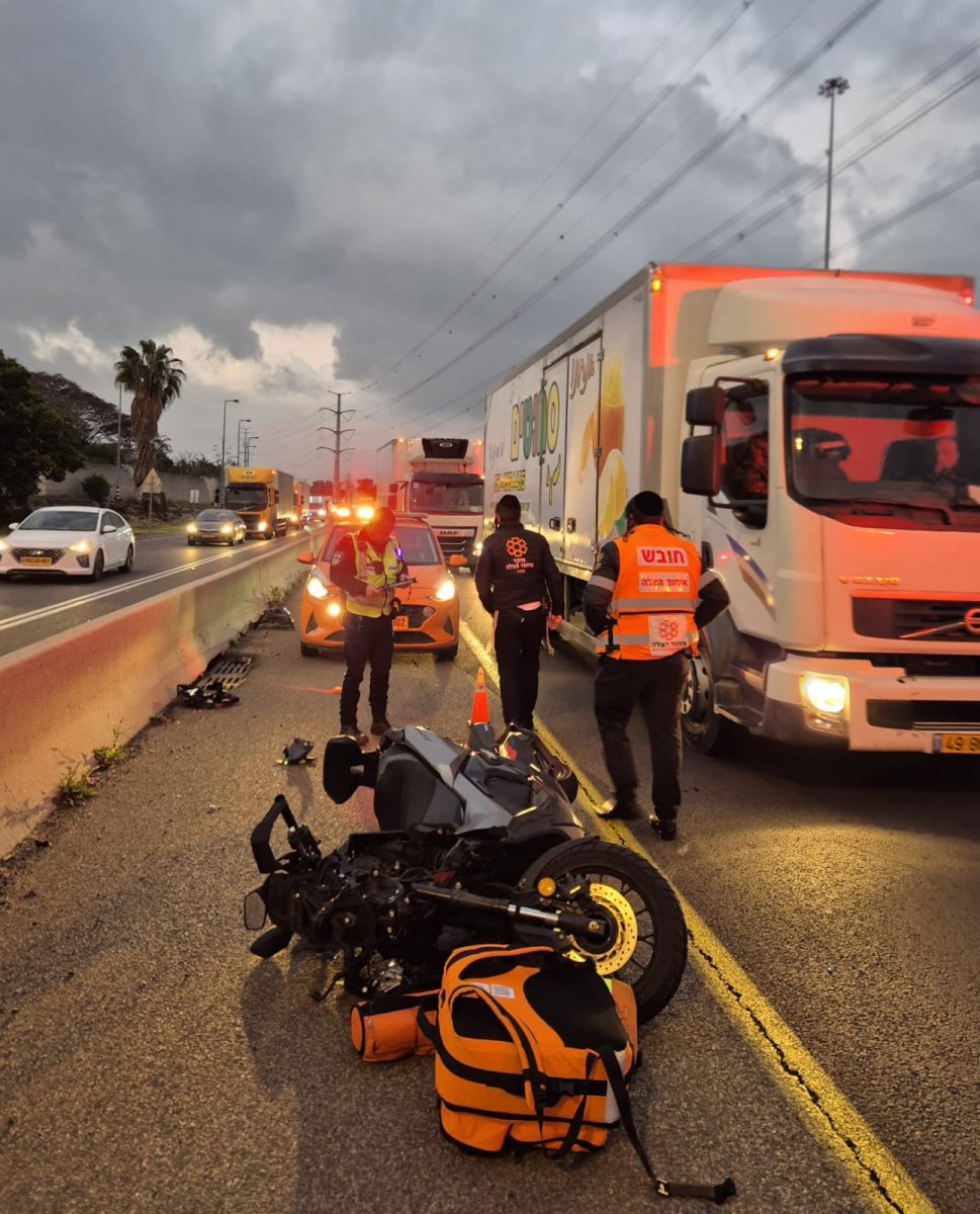 צילום: איחוד הצלה און ליין