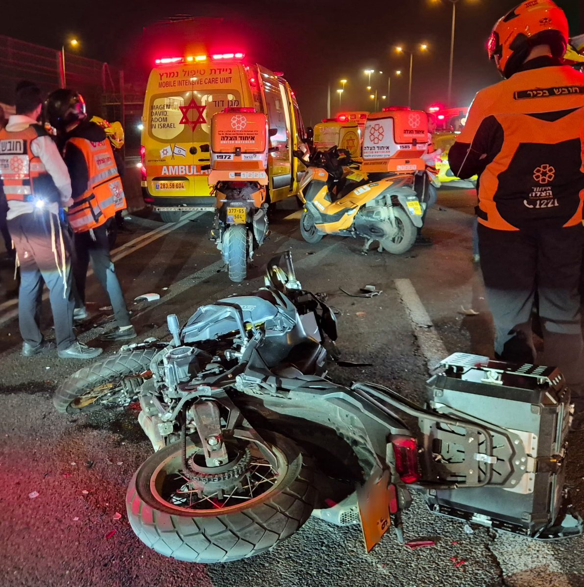 צילום: איחוד הצלה און ליין