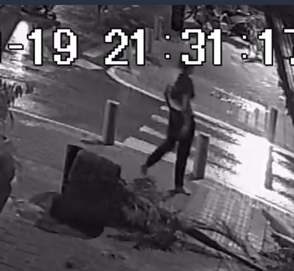 צילום באדיבות שקד דגמי