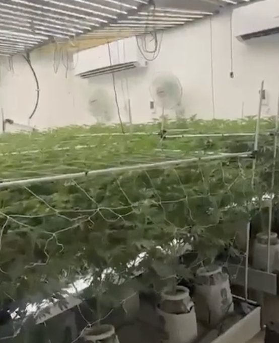 צילום: דוברות המשטרה