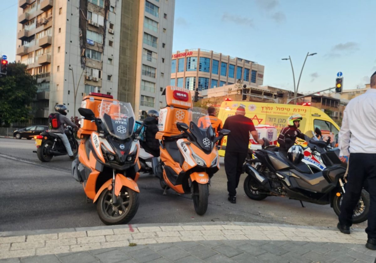 צילום: איחוד הצלה און ליין