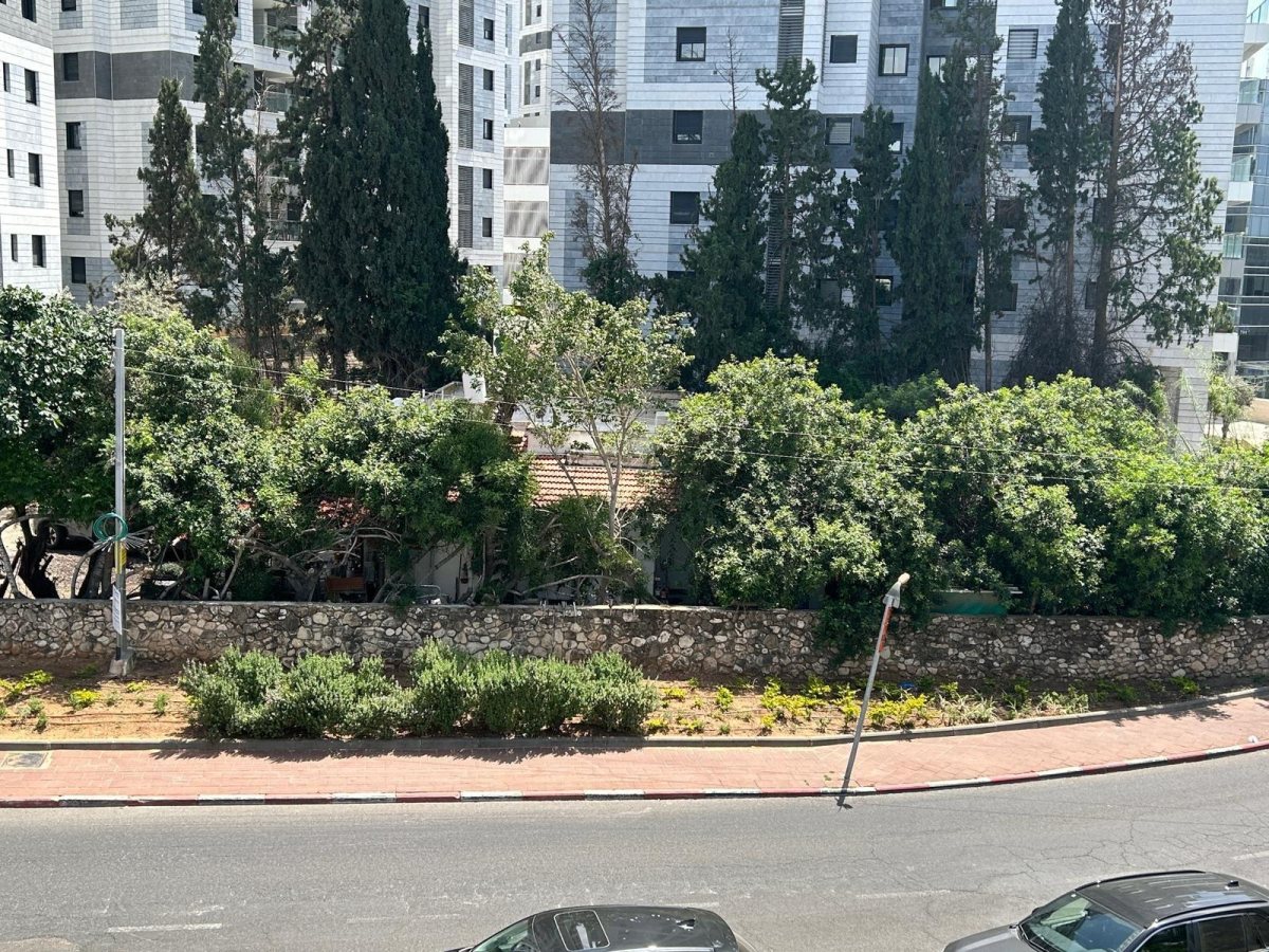צילום: פרטי