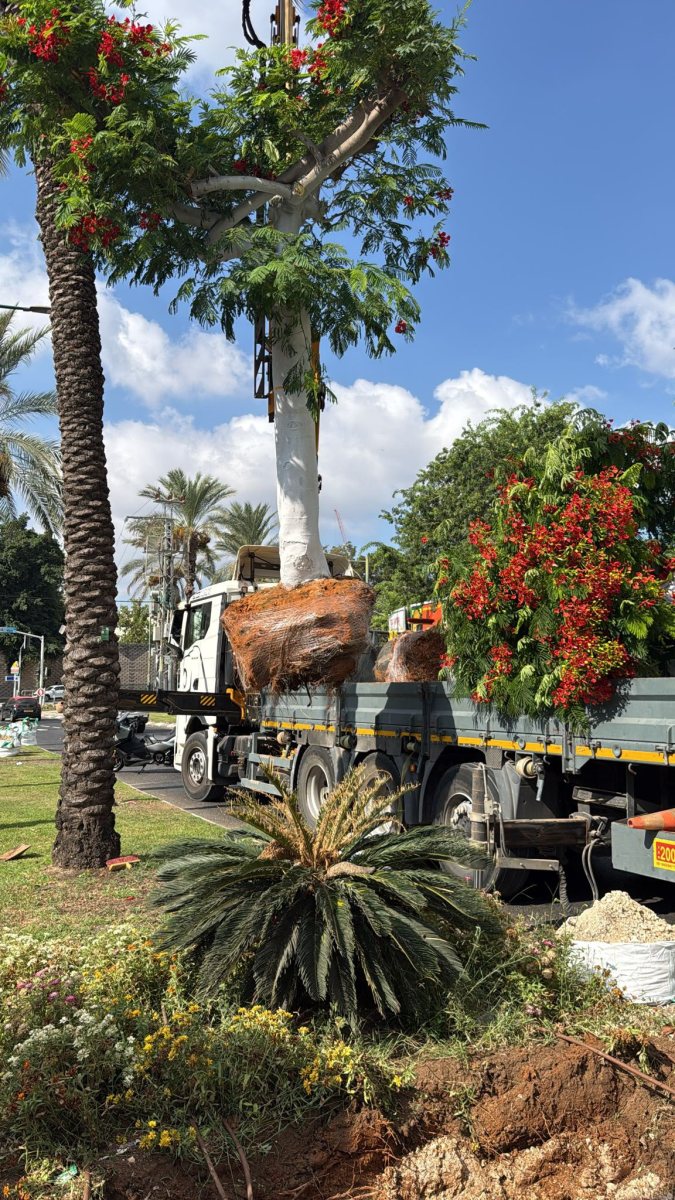 צילום: דוברות עיריית רמת גן