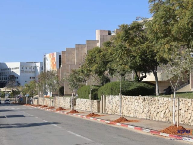 צילום: יחידת הצילום שיבא