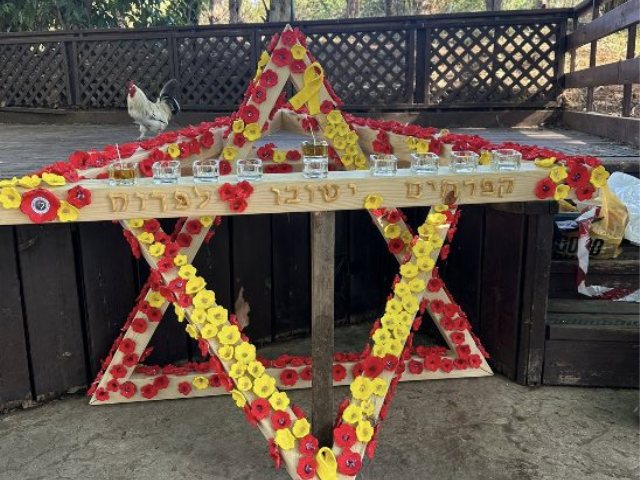 צילום: פרטי