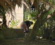 בהלה בשדרות ירושלים: גבר חשף את עצמו לעיני העוברים והשבים ונמלט מהמקום
