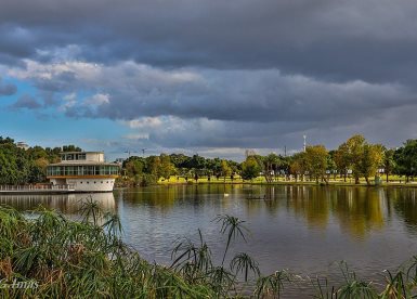 גלעד אימס, מתוך אתר פיקיויקי