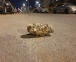 ביום כיפור: האחיות יצאו לפעילות רפואית ונסקלו באבנים גדולות 