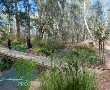 פרויקט חדש: משקמים את נחל כופר