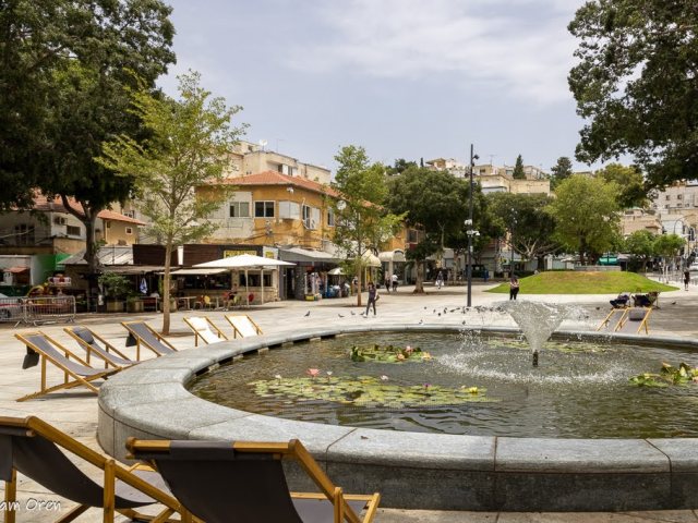 צילום: עמירם אורן