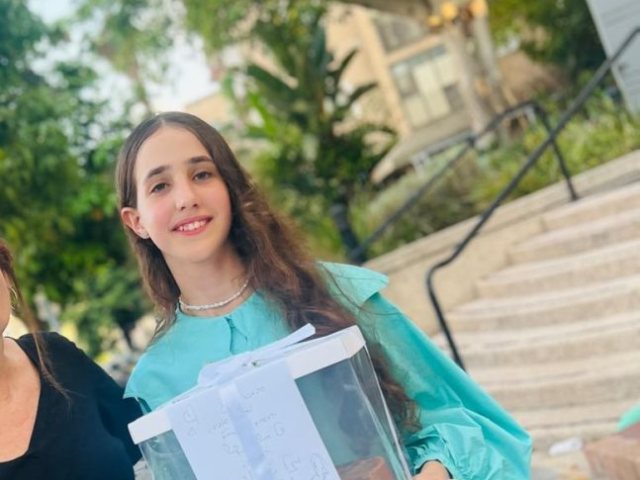 מערכת