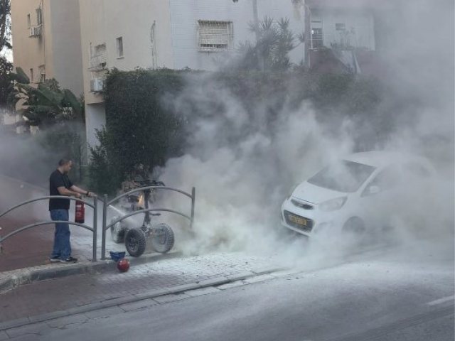 צילום: פרטי