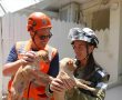 במיוחד עכשיו מאמצים חבר: יום אימוץ כלבים מיוחד בשישי הקרוב