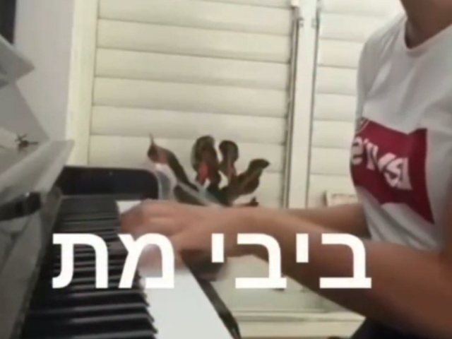 צילום מתוך רשתות חברתיות 