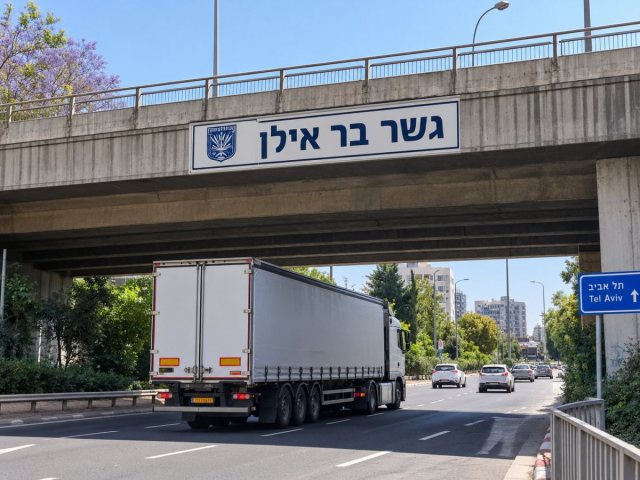 אילוסטרציה AI