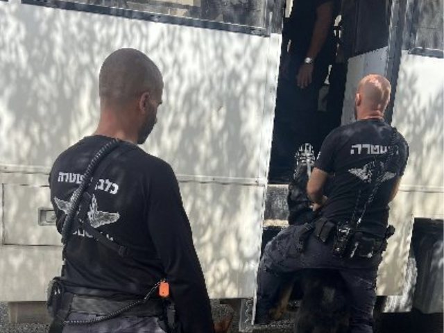 צילום: דוברות המשטרה