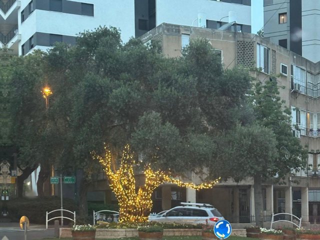 צילום באדיבות מטה משפחות החטופים ברמת גן-גבעתיים