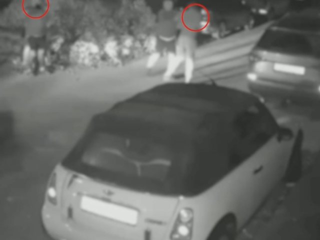 צילום: דוברות המשטרה