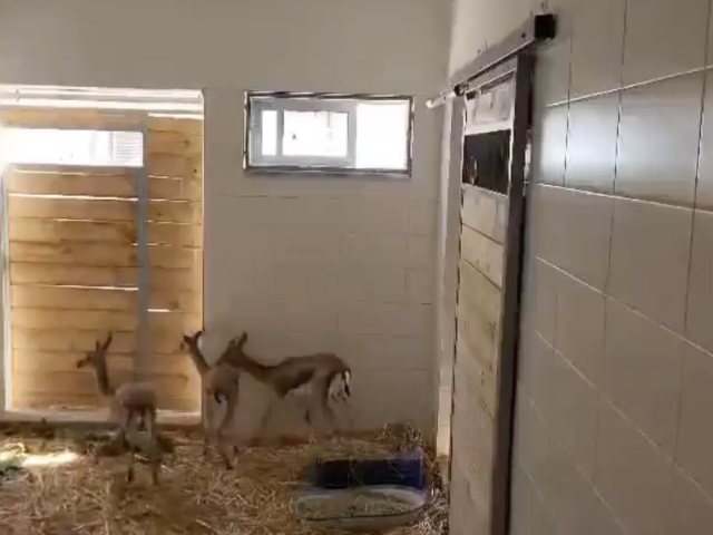 צילום מעמוד הטוויטר של גיא קוטב