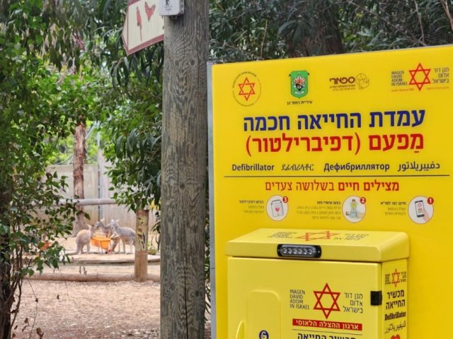 צילום: דוברות מד״א