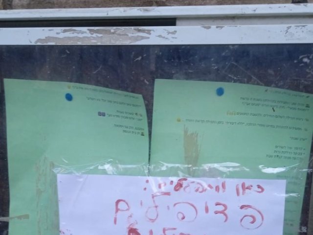 צילום מעמוד הפייסבוק של כרמל שאמה הכהן